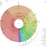 DNA Analyse Coronachart